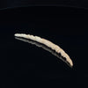 6g (4mm) Fossilized Mammoth Ivory Carved Septum Tusk