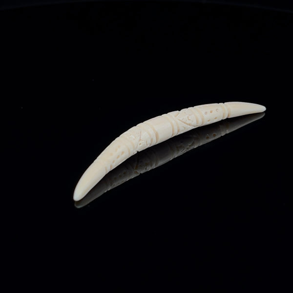 4g (5mm) Fossilized Carved Mammoth Ivory Septum Tusk – Oracle Body