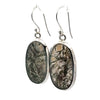 Sterling Silver Moss Agate Earrings