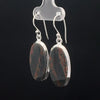 Sterling Silver Bloodstone Earrings