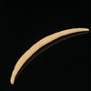 4.8mm Fossilized Mammoth Carved Long Septum Spike