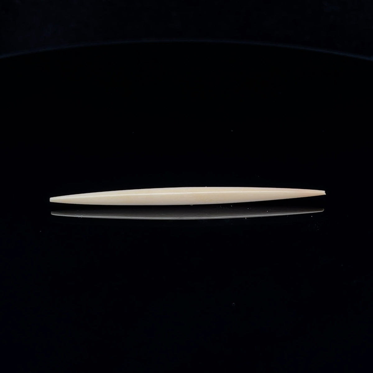 8g (3mm) Fossilized Mammoth Ivory Septum Spike