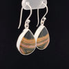 Sterling Silver Ocean Jasper Earrings