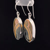 Sterling Silver Ocean Jasper Earrings