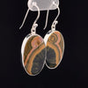 Sterling Silver Ocean Jasper Earrings