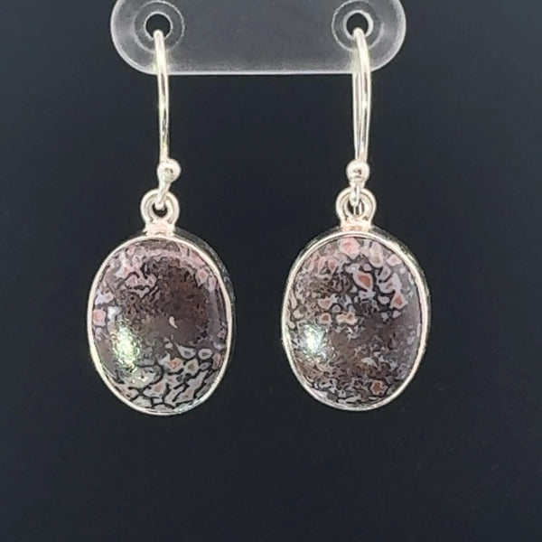 Sterling Silver Fossilized Dinosaur Bone Earrings