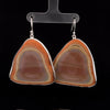 Sterling Silver Imperial Jasper Earrings