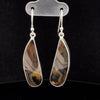 Sterling Silver Montana Agate Earrings
