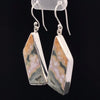 Sterling Silver Ocean Jasper Earrings