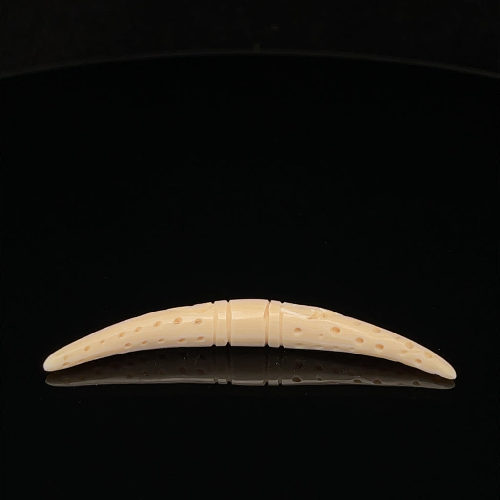 5.5mm Fossilized Mammoth Carved Septum Tusk