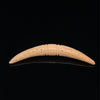 7.5mm Fossilized Mammoth Carved Septum Tusk