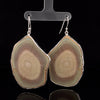 Sterling Silver Imperial Jasper Earrings