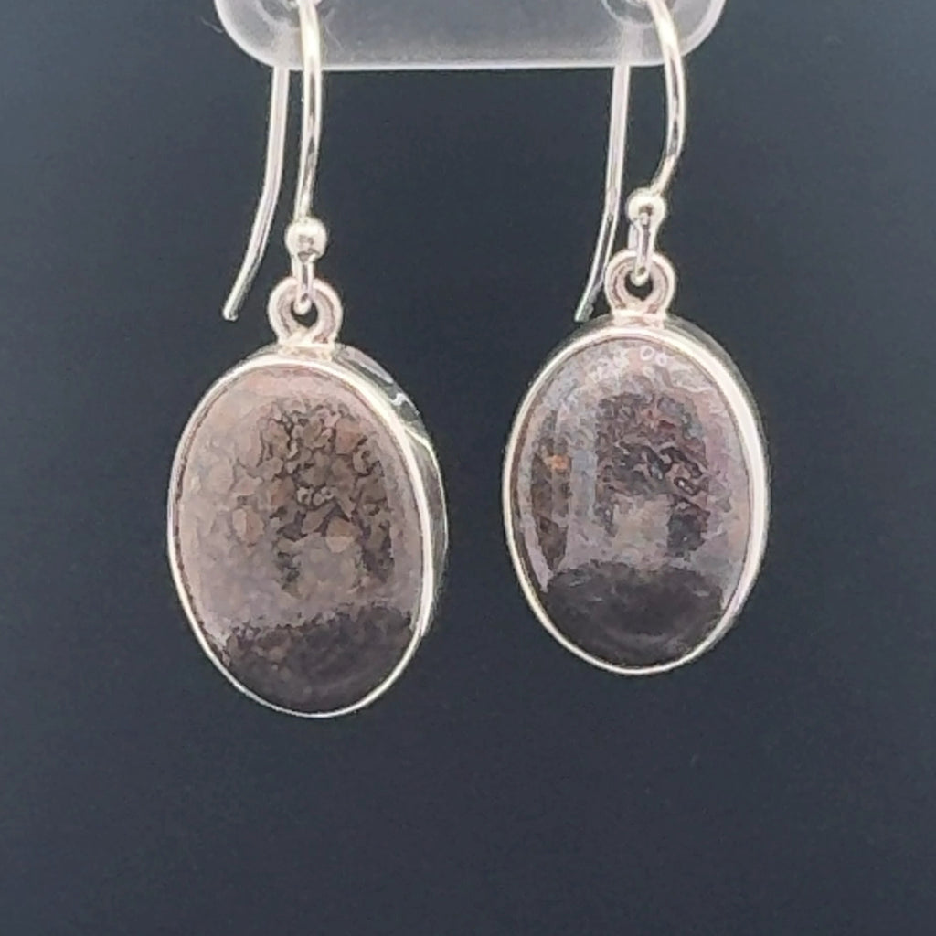 Sterling Silver Fossilized Dinosaur Bone Earrings