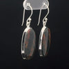 Sterling Silver Bloodstone Earrings