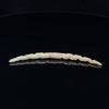 6g (4mm) Fossilized Mammoth Ivory Carved Septum Tusk