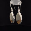 Sterling Silver Wildhorse Picture Jasper Earrings