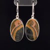 Sterling Silver Ocean Jasper Earrings