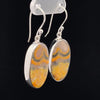 Sterling Silver Bumble Bee Jasper Earrings