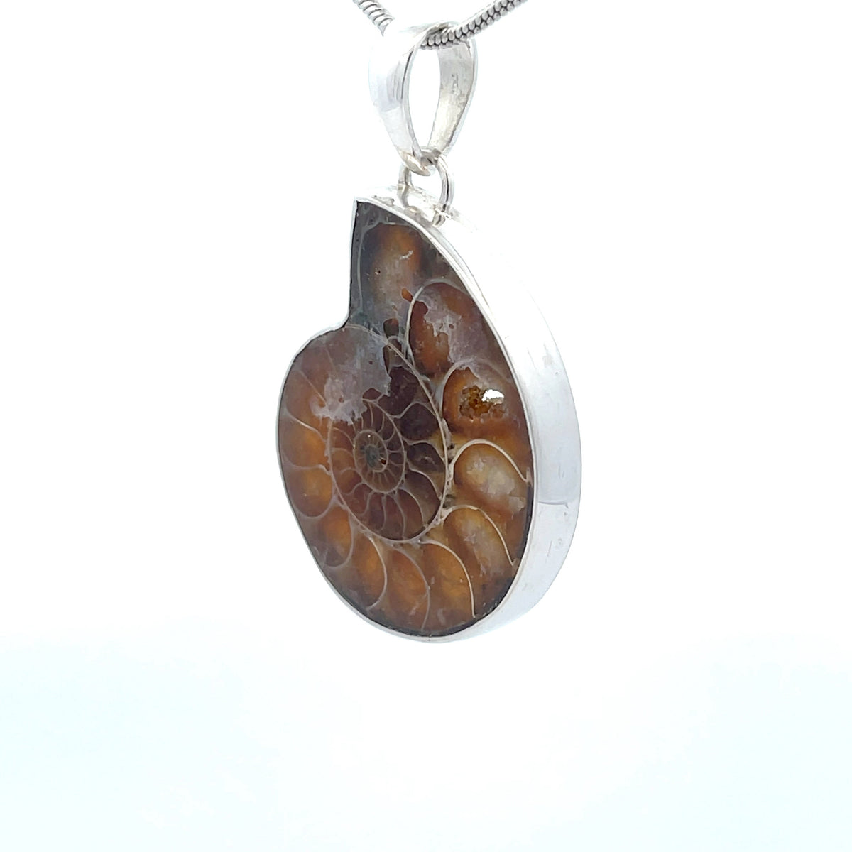 Sterling Silver Fossilized Ammonite Pendant