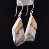 Sterling Silver Ocean Jasper Earrings