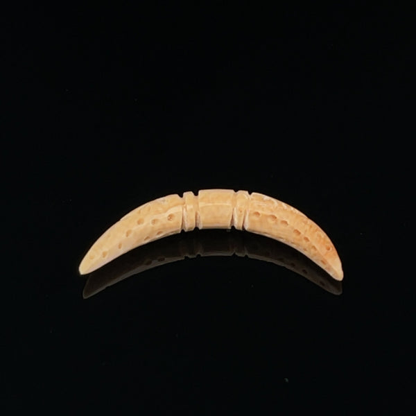 4g Fossilized Mammoth Carved Septum Tusk