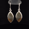 Sterling Silver Wildhorse Picture Jasper Earrings