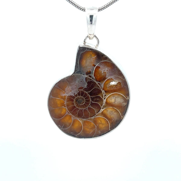 Sterling Silver Fossilized Ammonite Pendant