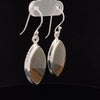 Sterling Silver Wildhorse Picture Jasper Earrings