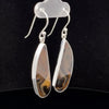 Sterling Silver Montana Agate Earrings