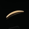 3.5mm Fossilized Mammoth Ivory Septum Tusk