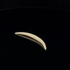 8g (3mm) Fossilized Mammoth Ivory Septum Tusk