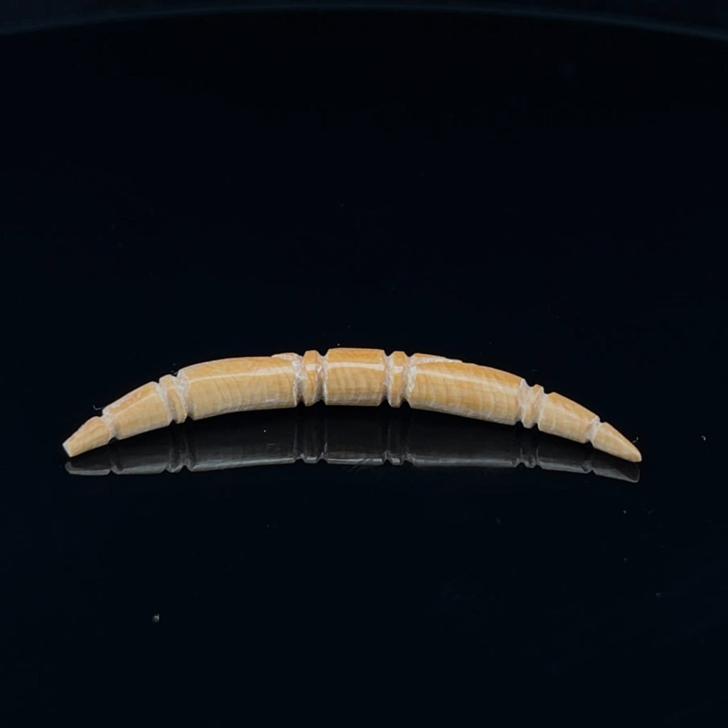 6g (4mm) Fossilized Mammoth Ivory Carved Septum Tusk