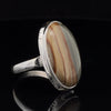 Sterling Silver Wildhorse Picture Jasper Ring Size 11