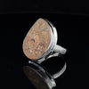 Sterling Silver Ammonite Ring Size 5
