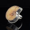 Sterling Silver Ammonite Ring Size 7