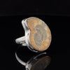 Sterling Silver Ammonite Ring Size 8