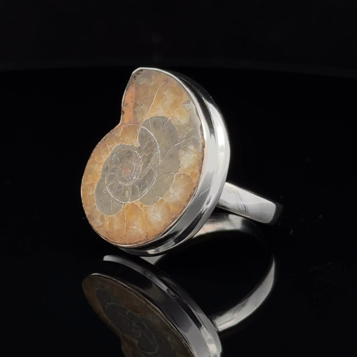 Sterling Silver Ammonite Ring Size 8