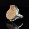 Sterling Silver Ammonite Ring Size 10