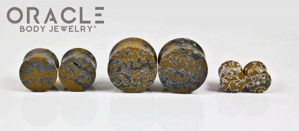 Ocean Jasper Double Flare Plugs