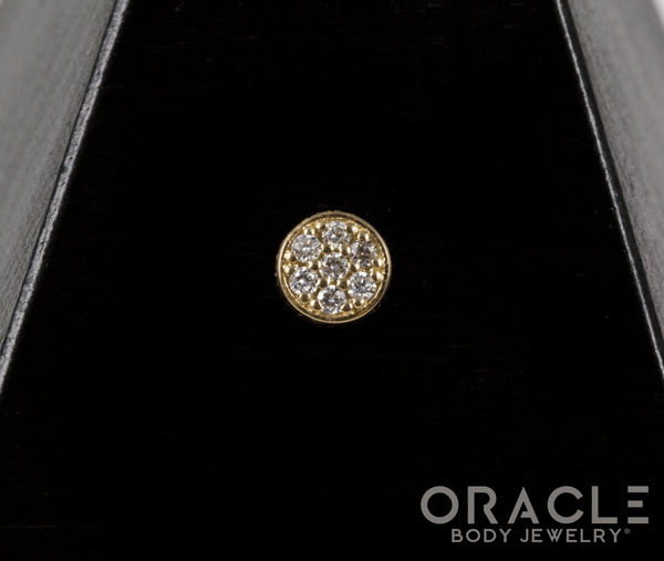 14k Diamond Orbit Threadless End