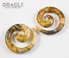 00g Crazy Lace Agate Spirals