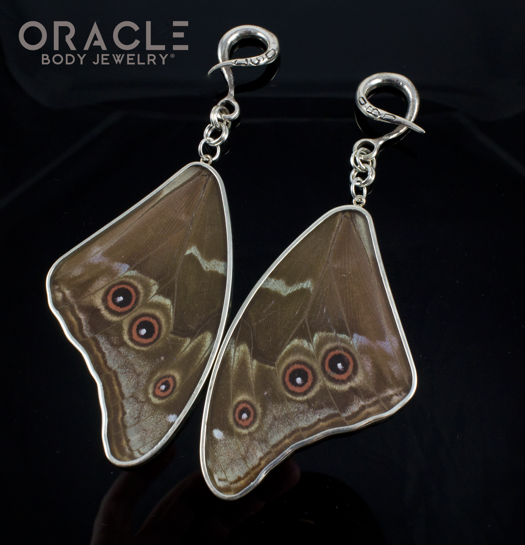 Sterling Silver Crossover With Natural Blue Morpho Butterfly Wings