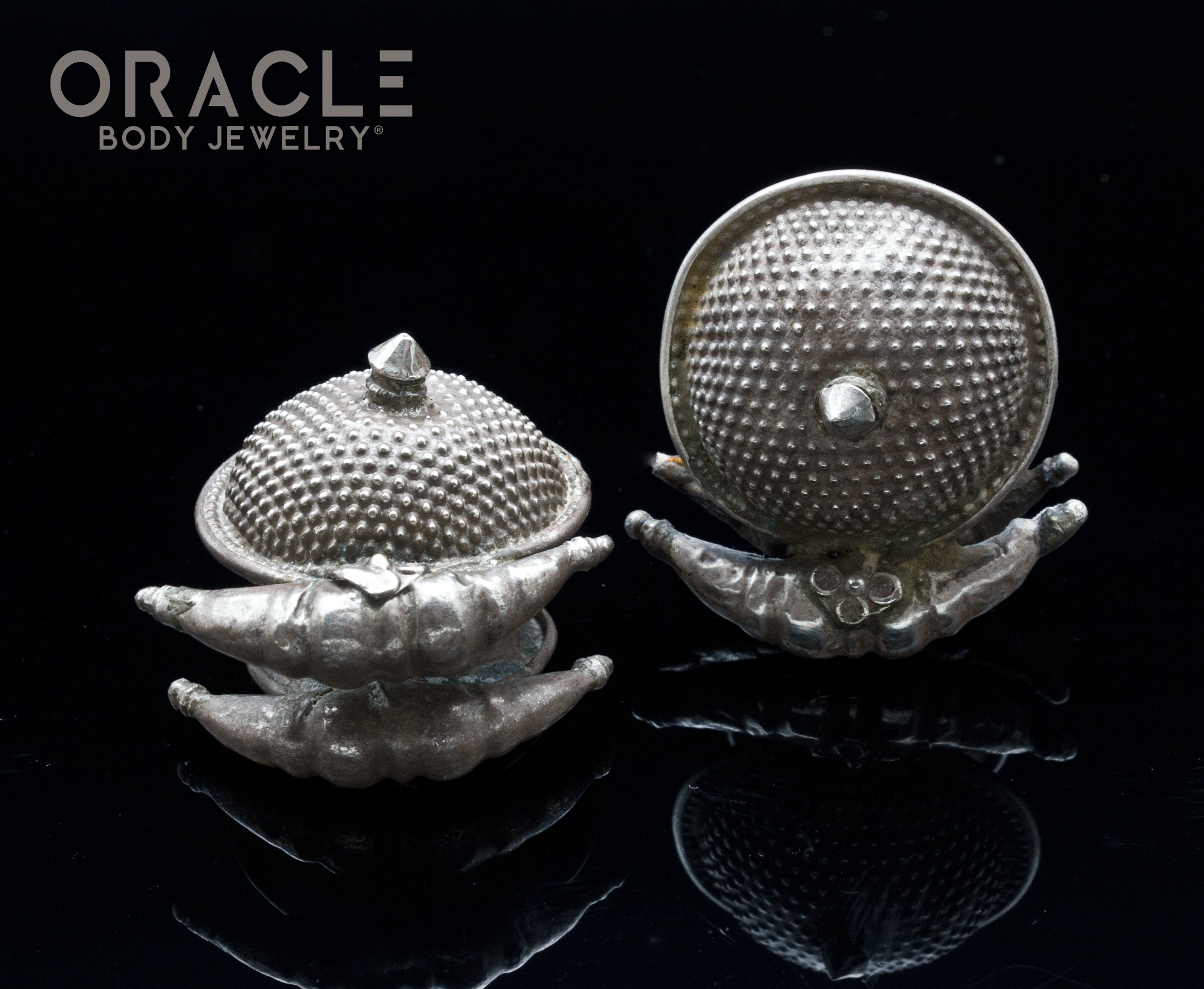 Old Medium Akota Silver Earrings