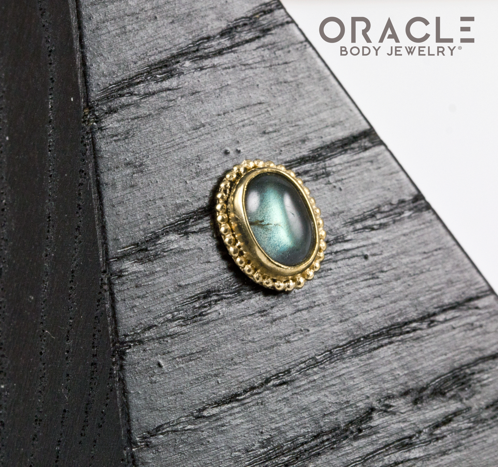 14k Labradorite Threadless Gold End