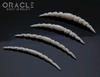 Twisted Bone Septum Tusk