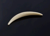 6g (4mm) Fossilized Mammoth Ivory Septum Tusk