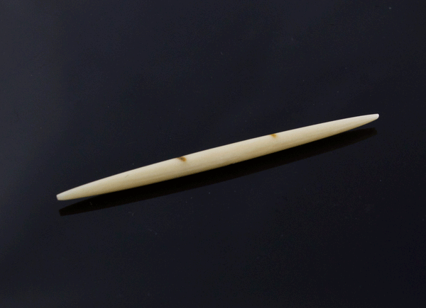 10g (2.5mm) Fossilized Mammoth Ivory Septum Spike
