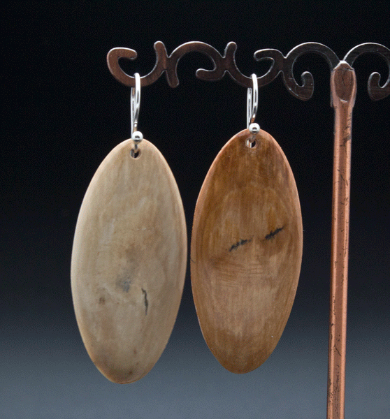 Sterling Silver Fossilized Mammoth Ivory Earrings
