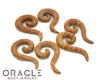 Picture Jasper Tail Spirals