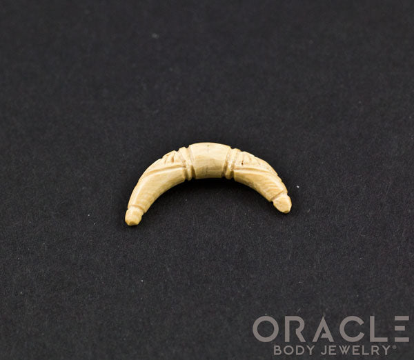 4g Fossilized Mammoth Ivory Septum Tusk